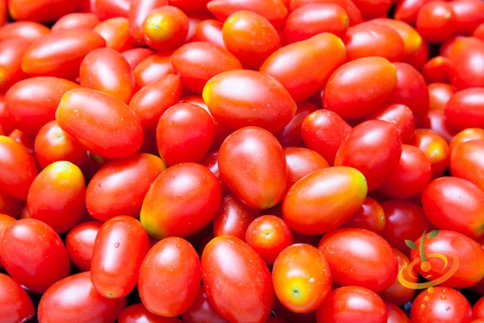 Close-up of vibrant red pear tomatoes with smooth skin and small oval shapes