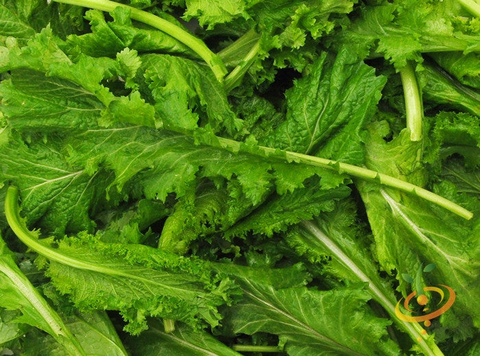 Old Fashion mustard seeds from SeedsNow, close-up of small brown seeds in a glass jar on a wooden surface.