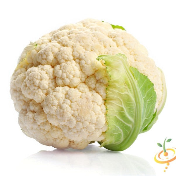 Fresh white Snowball self-blanche cauliflower with green leaves isolated on white background
