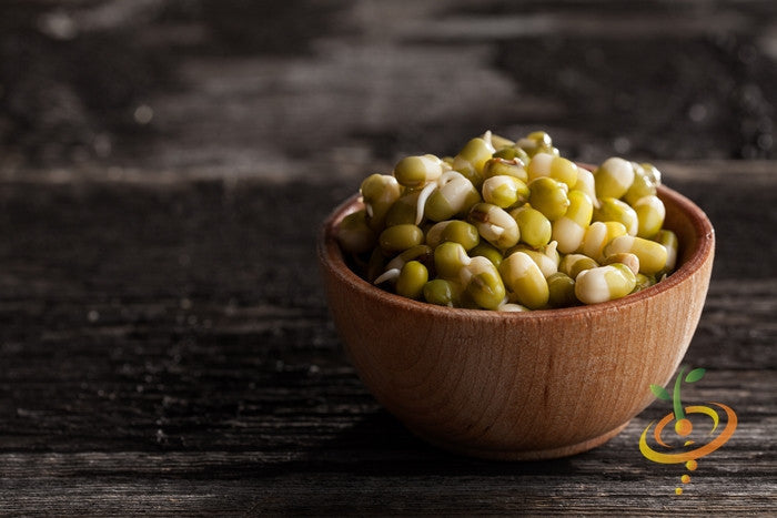 Wooden bowl filled with organic green pea sprouts microgreens on dark wooden surface