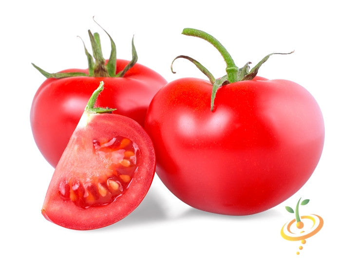 Indeterminate Rutgers tomato seeds from SeedsNow, showing vibrant tomato seeds and packaging for planting.