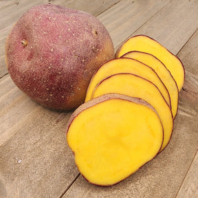 Organic Cheshire early-season potato seed from SeedsNow-Potatoes, showing round, fresh potato tubers ideal for planting.
