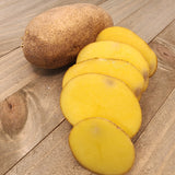 Potato (Mid-Season) - German Butterball (Organic rounds) *pre-order*