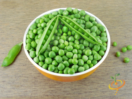 Fresh Little Marvel pea seeds from SeedsNow, small green pea seeds ideal for planting and home gardening.