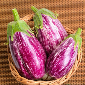 Eggplant (Aubergine) Pandora Striped seeds from SeedsNow, close-up of seed packets with colorful striped design.
