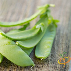 Oregon Sugar Pod pea seeds from SeedsNow, close-up of packaged seeds ready for planting in a garden.