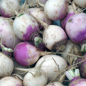 American Purple Top rutabaga seeds from SeedsNow, showing fresh seed packets with purple-topped rutabaga root images.
