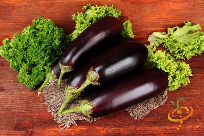 Eggplant - Florida Market.