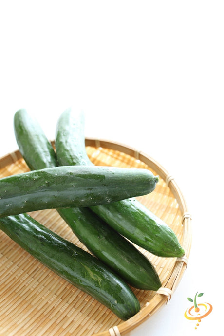 Chinese Snake cucumber seeds from SeedsNow, showing fresh green cucumber with elongated, snake-like shape and textured skin.