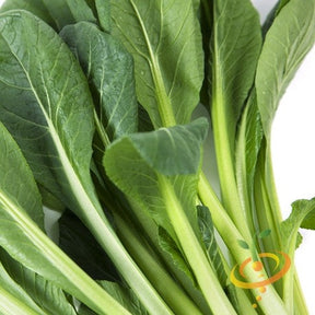 Mustard Tendergreen seeds by SeedsNow, small yellow seed packets with vibrant green tendergreen mustard leaves in the garden