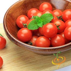 Tiny Tim determinate tomato seeds from SeedsNow, small tomato seedlings with vibrant green leaves in a garden setting.
