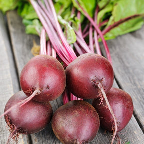 Early Wonder beet seeds from SeedsNow, small green and purple beet seed packets on a white background.