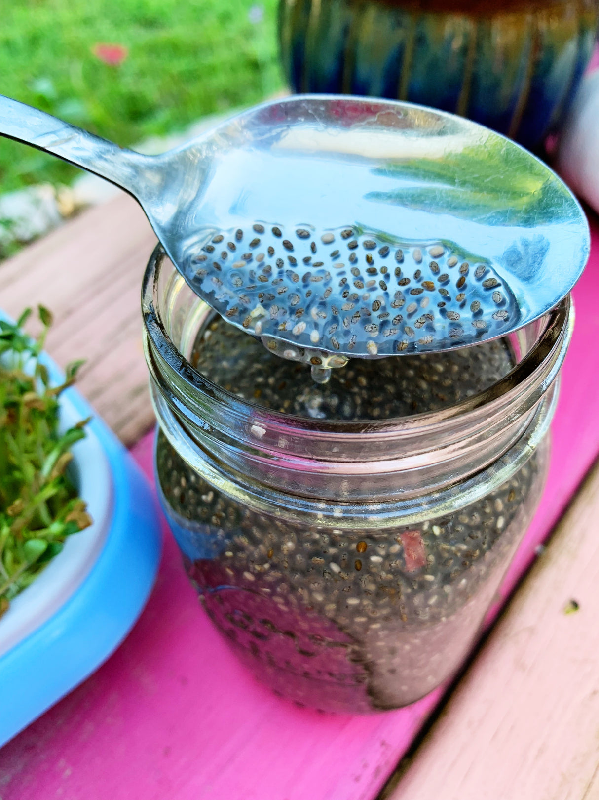 Sprouts/Microgreens - Chia - SeedsNow.com