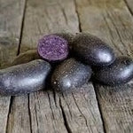 Early-season Violetta potato seed from SeedsNow-Potatoes, showing fresh, healthy tubers ideal for planting.