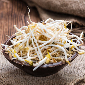 Fresh mung bean sprouts from SeedsNow, showing vibrant green mung bean microgreens on a clean surface.