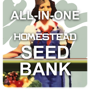 All-in-One Homestead Seed Bank by SeedsNow-SeedBanks showing storage compartments for preserving and organizing seeds.
