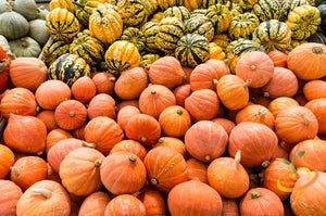 Squash (Winter) - Gold Nugget - SeedsNow.com