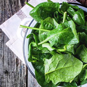 Fresh spinach leaves from SeedsNow, vibrant green American spinach variety, ready for cooking or salads.