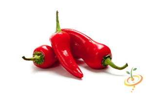 Pepper - Fresno Chili.