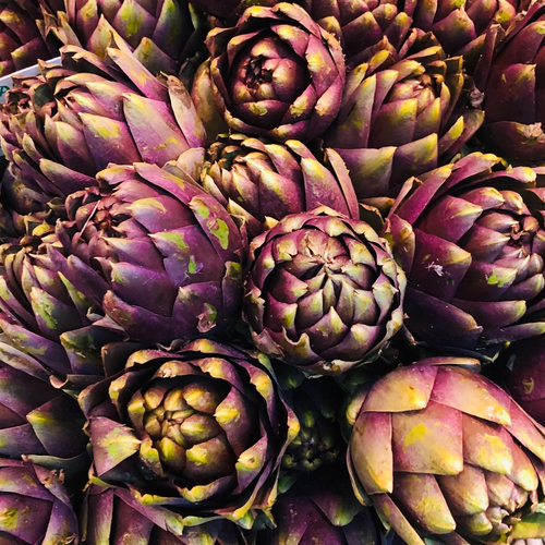 Violet Star artichoke seed packet from SeedsNow, featuring a vibrant purple artichoke illustration on the front.